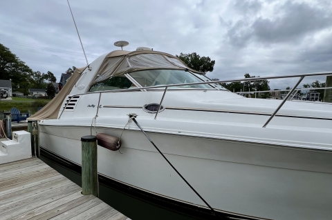 2001 Sea Ray 340 Amberjack